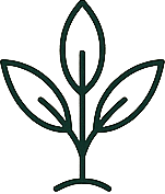 grow-plant-1